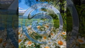 Очень красивая песня. БЕЛЫЕ РОМАШКИ. ФРИСТАЙЛ.