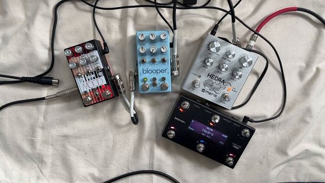 Assignment done - violin loop смотреть онлайн