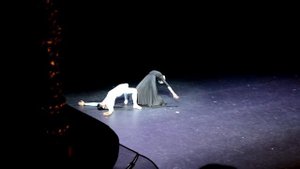 Николай Цискаридзе, Илзе Лиепа, Пиковая дама (отрывок)