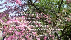 Заговор от косточек на ногах . Наталья Ивановна Степанова сибирская целительница