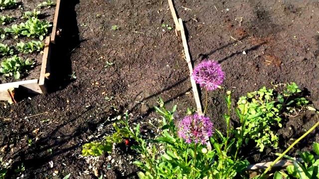 дача летом смотреть онлайн