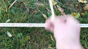 5 копеек 1931 Nokta Makro Anfibio Multi катушка KARMA тест