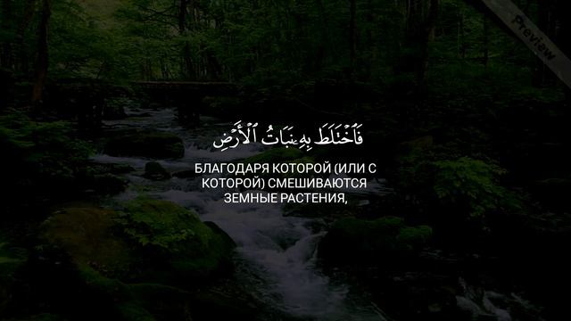 ﷽◾️Сура: 10 «Йунус» (Иона), аяты 23-24◾️Чтец: Ахмад Хедр смотреть онлайн