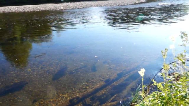 Поселок Вижай, ул. Набережная. река Вижай смотреть онлайн