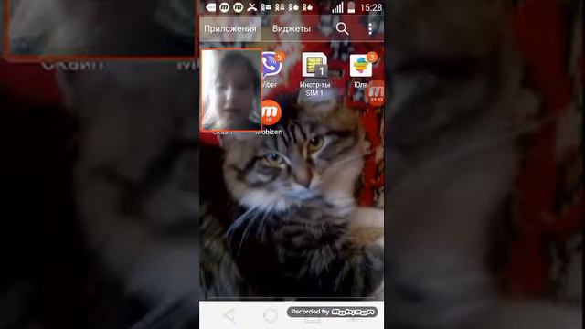 Как сделать лицо в видео смотреть онлайн
