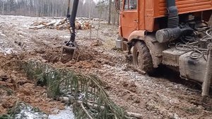 новая делянка!!! строим дороги!!! #Лесовозы