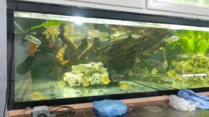 огромный аквариум на 7 тонн