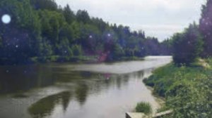 Несёт меня течение (Гуси-лебеди). Юрий Антонов