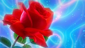 Футаж. Цветочный фон 77
