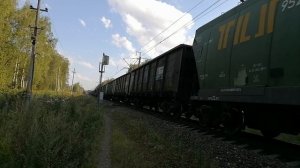 Товарный поезд проходит перегон Дунайка Телищево Костромское направление снято 13.08.2023г