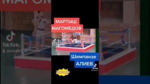 Мартыш Магомедов V/s Шимпанзе Алиев
