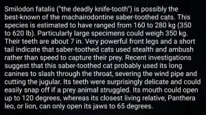 Siberian Tiger Vs Smilodon Fatalis - Who Would Win In A Fight?