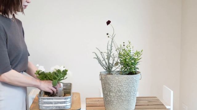 【寄せ植え】初心者でも大人オシャレな雰囲気が作れる方法 смотреть онлайн