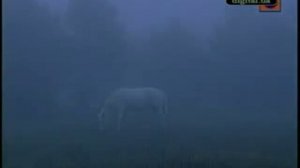 Велимир Русаков-Иди за мной