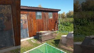 лучшая бесплатная краска по дереву.