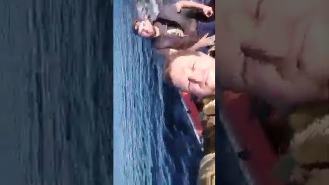 Карелия 2021 поездка в магазин 20км по воде смотреть онлайн