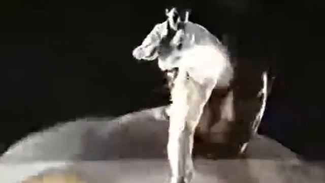 Kyokushin karate Hiroki Kurosawa