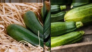 Как сохранить кабачки до весны в свежем виде?