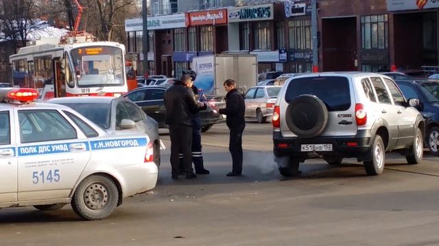 Авария на Белинке. Олени перекрыли три полосы и трамвайные пути. смотреть онлайн