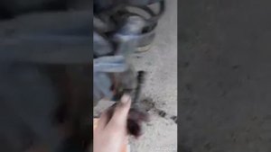 Замена тормозных колодок на Mercedes  Вито 639 .  111CDi.    Replacing brake pads for Vito 639