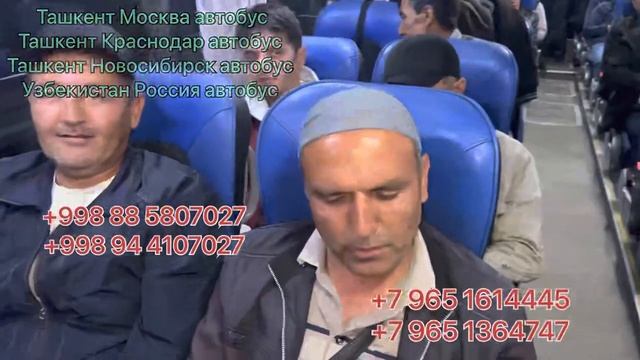 Ташкент Новосибирск автобус прямой рейс официальный Ташкент Челябинск автобус Ташкент Тюмень автобу смотреть онлайн