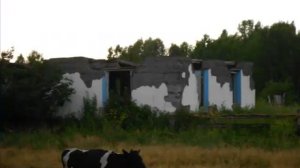 Николаевка Кыштовский район