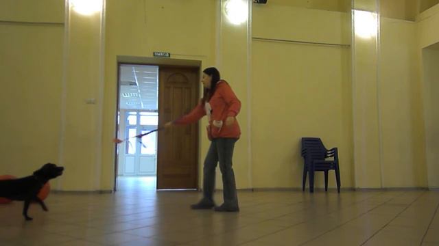 Собака задомнаперед смотреть онлайн