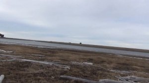 Чукотка, мыс Шелагский и его окрестности, часть 1. Начало похода.