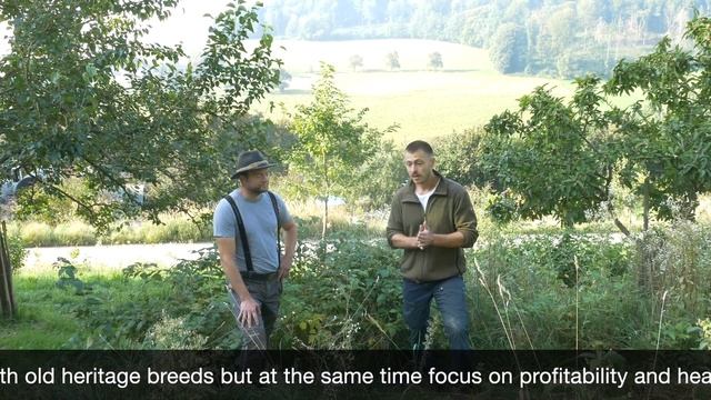 Welcome To Austria's Apricot Lane Farm смотреть онлайн