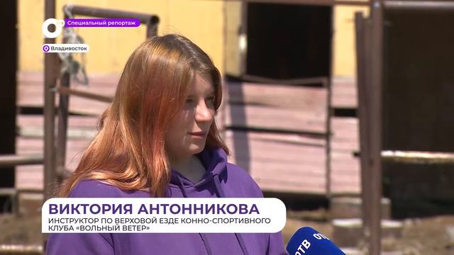 Спецрепортаж. Лошадиная доля смотреть онлайн