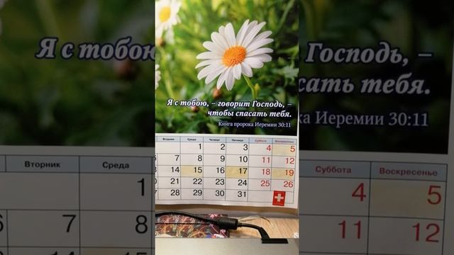 МОЛИТВА..ЛЮБОВЬ. ЗАЩИТА. СПАСЕНИЕ. ОСВОБОЖДЕНИЕ.УКРЕПЛЕНИЕ. УТВЕРЖДЕНИЕ.ПСАЛОМ - 17. Игорь Кострово смотреть онлайн