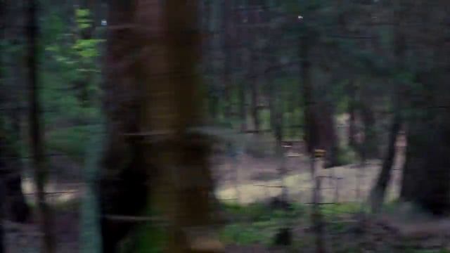 Памптрек смотреть онлайн