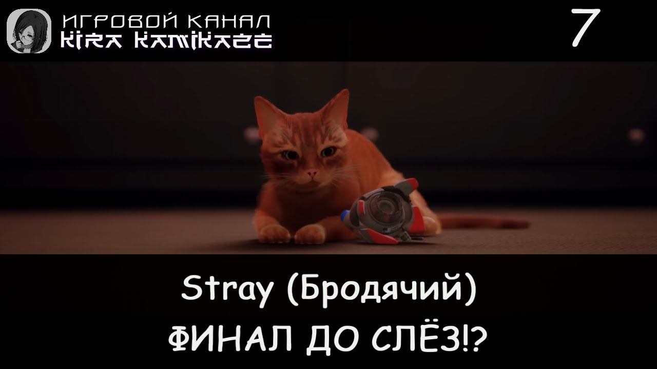 😿 Тюрьма и поверхность!? Финал до слёз! × Stray, Прохождение #7 (Финал!) 🐈🌃