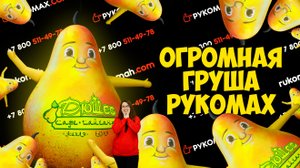 Рукомах. Надувная огромная груша аэромен