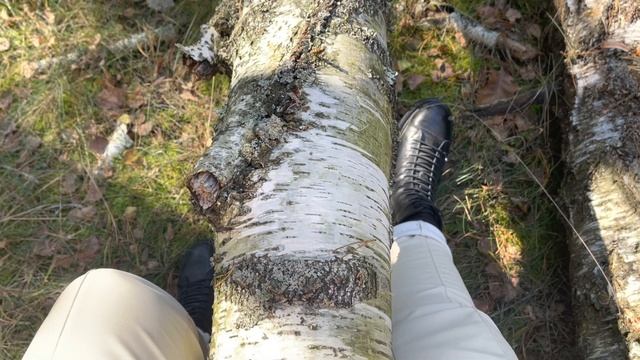 Магия Леса. Дерево в магии. Отличие трав, кустарников и деревьев. Тайны знахарства. смотреть онлайн