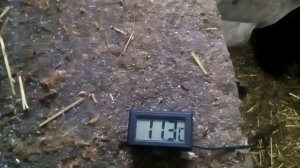 Тепло в курятнике зимой без финансовых затрат.