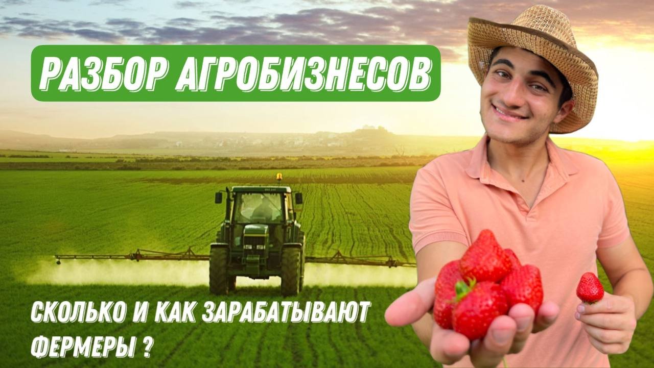 Канал о разборах бизнесов современных фермеров