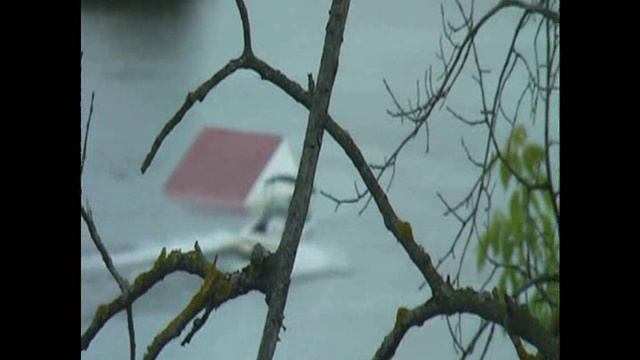 НА ВОДНЫХ ЛЫЖАХ смотреть онлайн