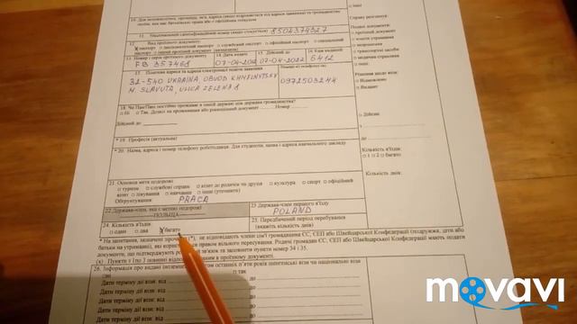 ЗАПОЛНЕНИЕ АНКЕТЫ НА НАЦИОНАЛЬНУЮ ВИЗУ В ПОЛЬШУ(FILLING FORM FOR A NATIONAL VISA TO POLAND) смотреть онлайн