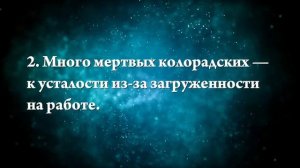 К чему снятся жуки - Онлайн Сонник Эксперт