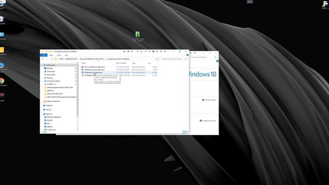 Professional Resume template working with Windows 10 - Accountant Sales Resume for MS Word & Pages смотреть онлайн