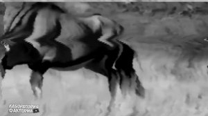 МАТЕРИ В ДЕЛЕ! Как самки буйвола, орикса, обезьяны,  защищают детёнышей!