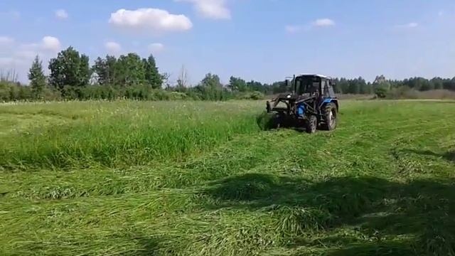 мтз 82 косит сено летом 2015 смотреть онлайн