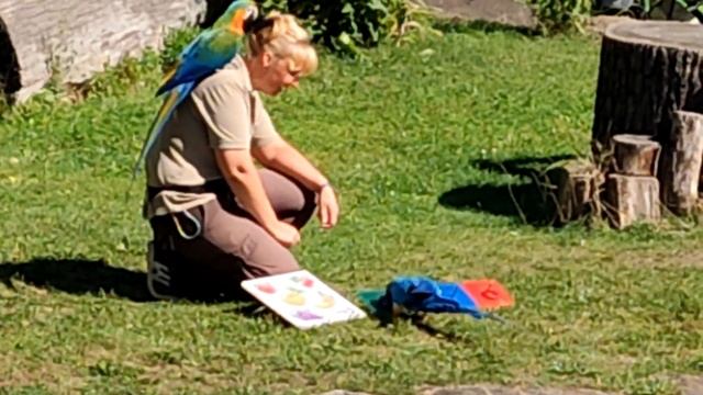 Самый большой Зоопарк в нидерзаксене.Советуем всем посетить. с вас подписка и лайк. смотреть онлайн