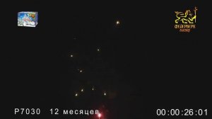 Новогодний фейерверк 12 месяцев  0,6 х42,0,8 х5,1 х4 Р7030