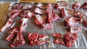 ЗАКОЛОЛ БЫЧКА КАКОЙ ВЫХОД МЯСА СТОИТ ЛИ ЭТИМ ЗАНИМАТЬСЯ