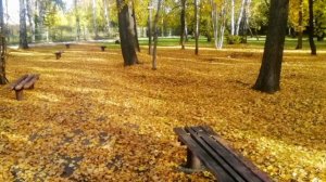 Ну здравствуй,Сентябрь! Ждём от тебя теплых и солнечных дней!