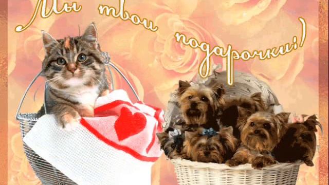 Доченька,С Днем Рождения!!! смотреть онлайн