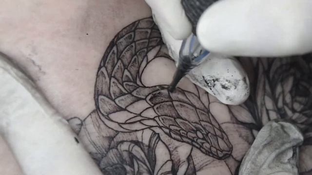 [Nolgida tattoo] Snake rose blackwork tattoo/Timelapse/#tattooartist #tattoo #tattoos #blackwork смотреть онлайн