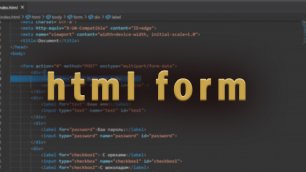 html  form